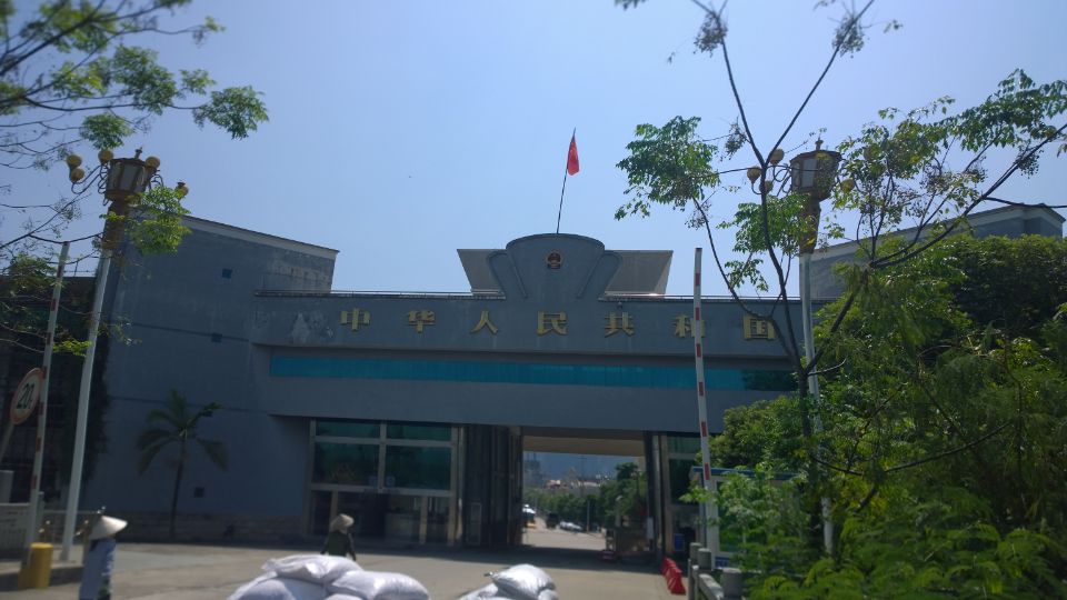 魚(yú)苗走出國(guó)門2